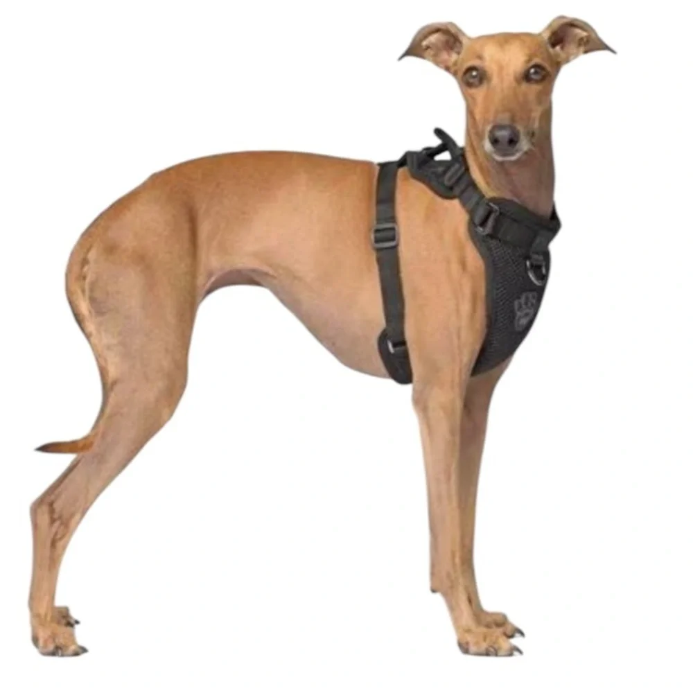 NWT Canada Pooch Everything Dog Harnesss M